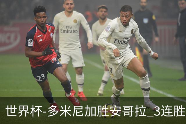 世界杯-多米尼加胜安哥拉 3连胜小组第一晋级
